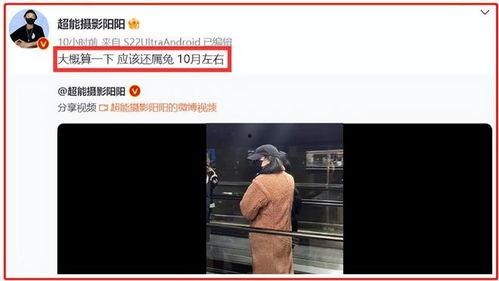 最新狗仔爆料视频播放下载,最新爆料视频播放下载，揭秘明星幕后故事